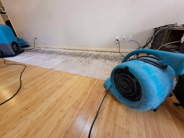 Professional Flood Damage Cleanup technician working in Remlap, AL